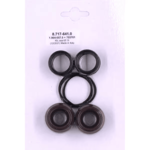 Hotsy Rebuild Kit, V-Seals 15Mm 8.717-641.0