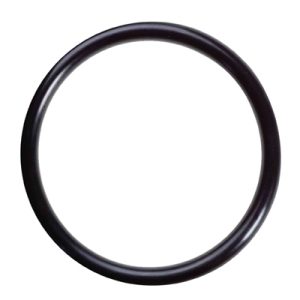 O-Ring, Valve Seat, 8.717-236.0